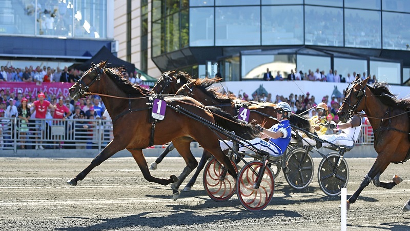 Stockholm -Elitloppet på Solvalla