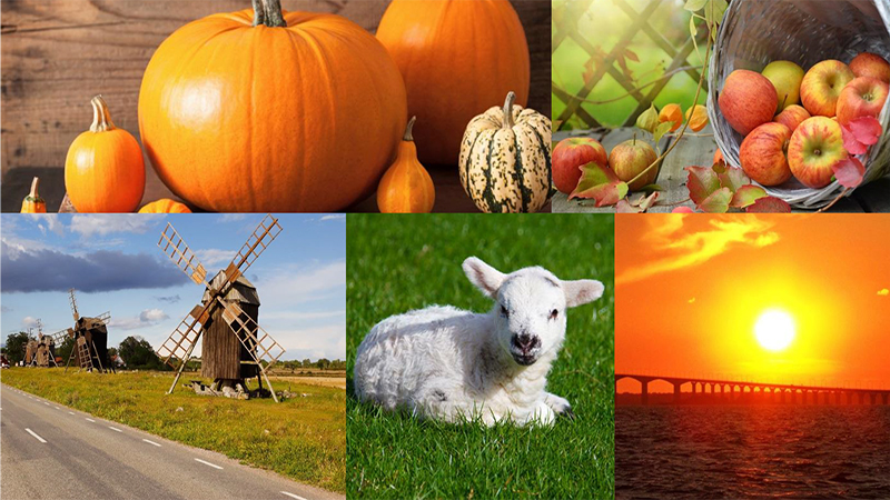 Öland - Skördefest och herrgårdsmiljö